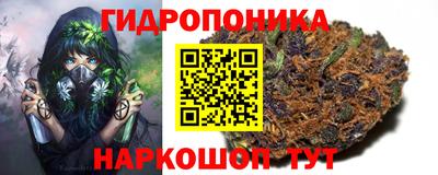 гидропоника Абакан