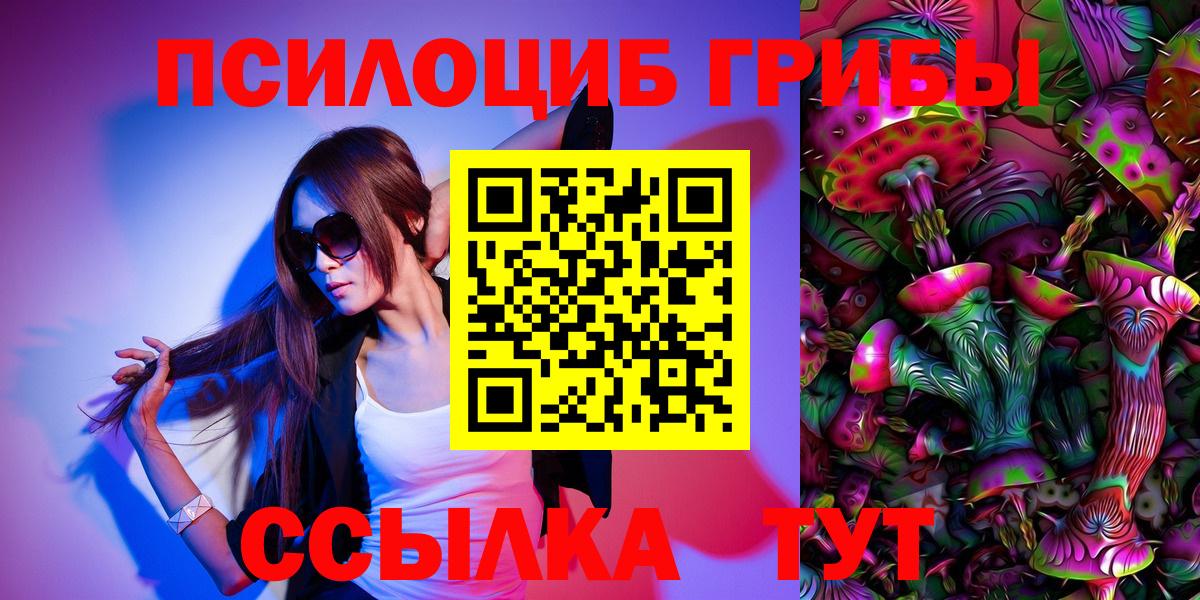 Галлюциногенные грибы Cubensis  Вход с VPN  Альметьевск 